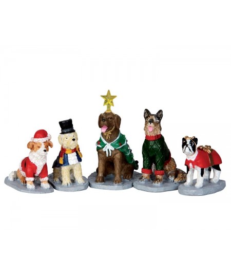 COSTUMED CANINES, SET OF 5...